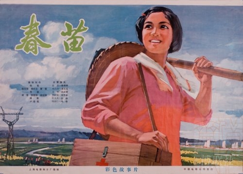 现场确认学历学位证书没有学位证